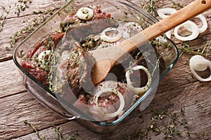 Raw meat in a green marinade with onions in a bowl closeup. hori