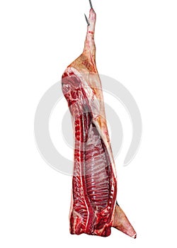 Raw Meat Hanging Isolated