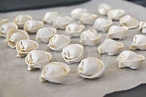 Raw meat ravioli are on the baking sheet in rows , semifinished products, dumplings