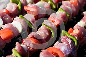 Raw meat skewers