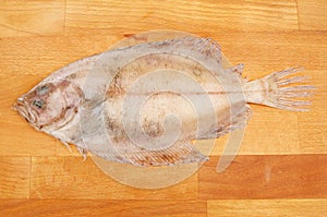 Raw megrim sole