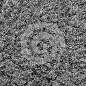 Raw Merino Sheep Wool Macro Closeup, Large Detailed Grey Textured Pattern Copy Space Background, Gray Texture Studio Shot