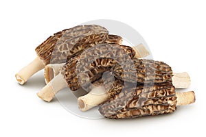 raw morel mushroom isolated on white background with full depth of field
