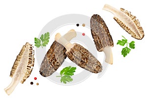 raw morel mushroom isolated on white background with full depth of field. Top view. Flat lay.