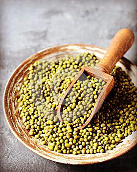 Raw mung bean in a plate on a gray background