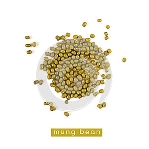 Raw mung dal beans isolated on the white background