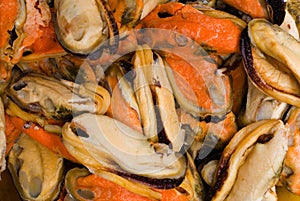 Raw Mussel