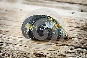 Raw mussel on old wooden table