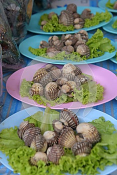 Raw Mussel shell in market