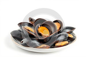 Raw Mussel on White Background