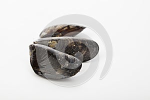 Raw mussels isolated over white