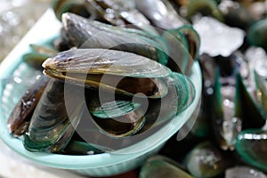 Raw Mussels on market in Thailand