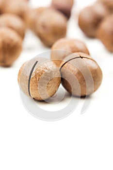 Raw not peeled whole macadamia nuts isolated on white