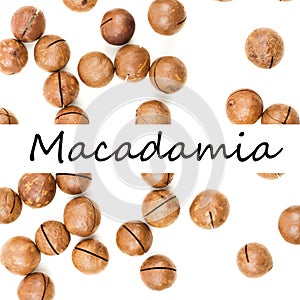 Raw not peeled whole macadamia nuts isolated on white