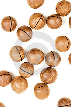 Raw not peeled whole macadamia nuts isolated on white