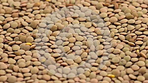 Raw nutritious lentils