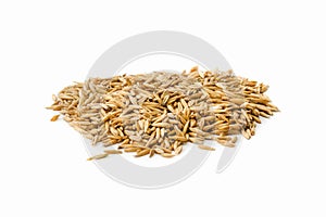 Raw oat grain on a white background. A pile of raw oats. Isolated