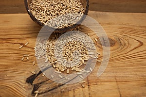 Raw oat grains in a coconut shell, ingredient for delicious healthy breakfast on a wooden background, copy space