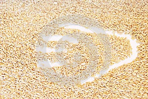 Raw oat seeds background
