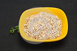 Raw oats in the bowl