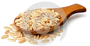 Raw oats isolated on the white background