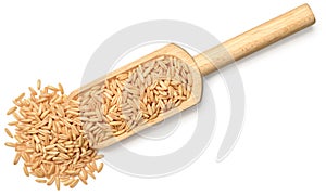 Raw oats isolated on the white background, top view