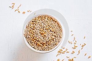 Raw oats seeds