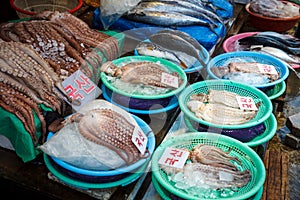 Raw Octopus at the Market