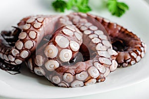 Raw octopus tentacles on white background. Traditional italian delicacy. Healthy eating