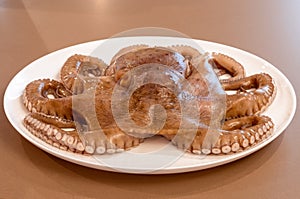 Raw octopus on a white dish, ready for further cooking