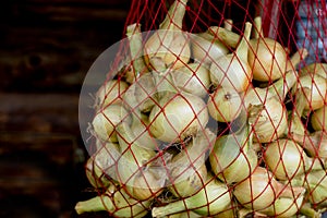 Raw Onions in a fishnet