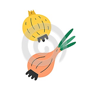 Raw onions isolated, fresh organic vegetable, vector icon illustration, onions with leaves and stem, cute flat cartoon