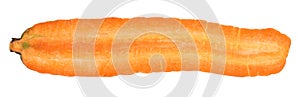 Raw orange carrot cut in half inside longitudinal section isolated on white