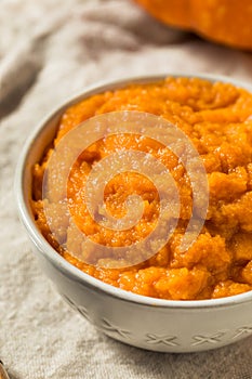 Raw Orange Organic Pumpkin Puree