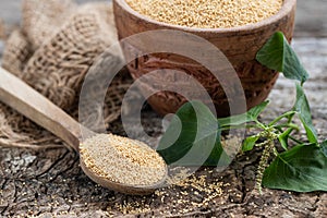 Raw Organic Amaranth Grain in a Bowl witn wooden spoon and Amaranth plant on Rustic wooden background. Healthy colorful