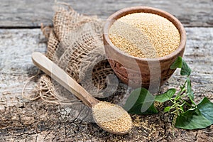 Raw Organic Amaranth Grain in a Bowl witn wooden spoon and Amaranth plant on Rustic wooden background. Healthy colorful