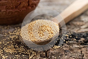 Raw Organic Amaranth Grain in a Bowl witn wooden spoon and Amaranth plant on Rustic wooden background. Healthy colorful gluten