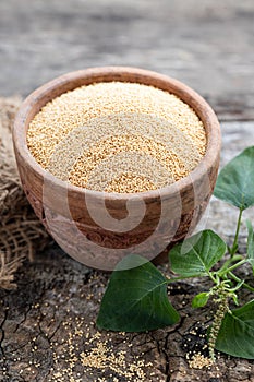 Raw Organic Amaranth Grain in a Bowl witnAmaranth plant on Rustic wooden background. Healthy colorful gluten free food