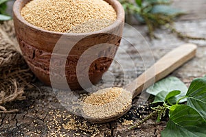 Raw Organic Amaranth Grain in a Bowl witnAmaranth plant on Rustic wooden background. Healthy colorful gluten free food