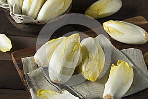 Raw Organic Belgian Endive