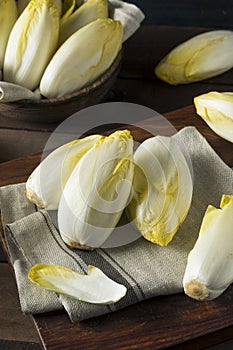 Raw Organic Belgian Endive