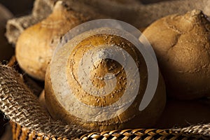 Raw Organic Brown Jicama