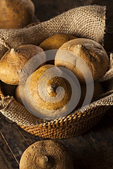 Raw Organic Brown Jicama