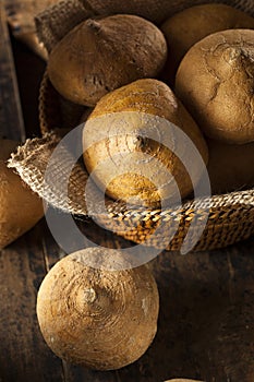 Raw Organic Brown Jicama