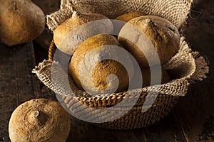 Raw Organic Brown Jicama