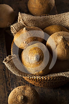 Raw Organic Brown Jicama