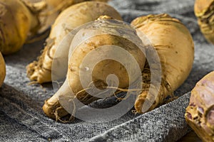 Raw Organic Brown Rutabaga Root