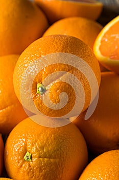 Raw Organic Cara Navel Oranges