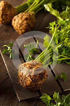 Raw Organic Celery Root