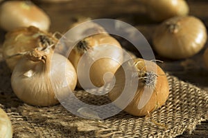 Raw Organic Cipollini Onions